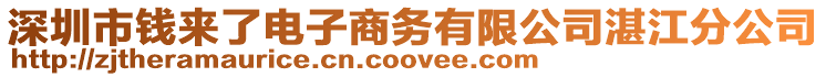 深圳市錢來(lái)了電子商務(wù)有限公司湛江分公司