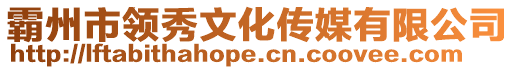 霸州市領(lǐng)秀文化傳媒有限公司