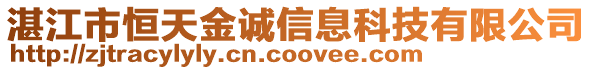 湛江市恒天金誠信息科技有限公司