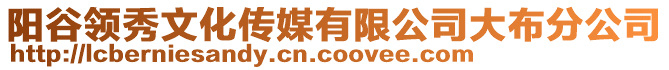 陽(yáng)谷領(lǐng)秀文化傳媒有限公司大布分公司