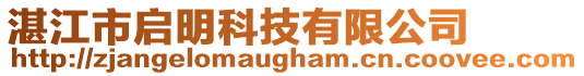 湛江市啟明科技有限公司