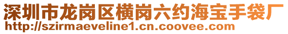 深圳市龍崗區(qū)橫崗六約海寶手袋廠