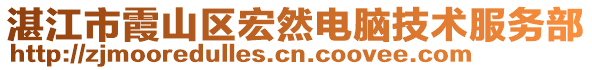 湛江市霞山區(qū)宏然電腦技術(shù)服務部