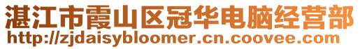 湛江市霞山區冠華電腦經營部