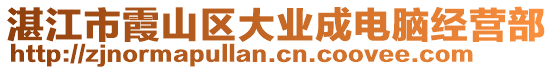 湛江市霞山區(qū)大業(yè)成電腦經(jīng)營部