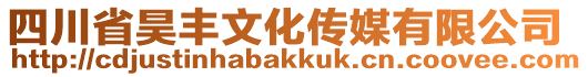 四川省昊豐文化傳媒有限公司