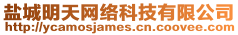 鹽城明天網(wǎng)絡(luò)科技有限公司