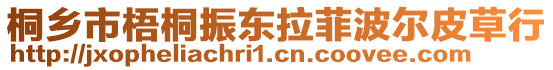 桐鄉(xiāng)市梧桐振東拉菲波爾皮草行