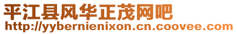 平江縣風(fēng)華正茂網(wǎng)吧