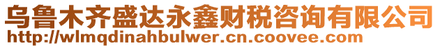 烏魯木齊盛達永鑫財稅咨詢有限公司