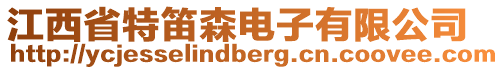 江西省特笛森電子有限公司