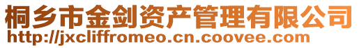 桐鄉(xiāng)市金劍資產(chǎn)管理有限公司