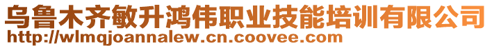 烏魯木齊敏升鴻偉職業技能培訓有限公司