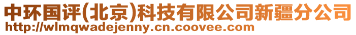 中環(huán)國評(北京)科技有限公司新疆分公司