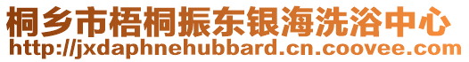 桐鄉(xiāng)市梧桐振東銀海洗浴中心