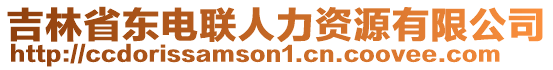 吉林省東電聯(lián)人力資源有限公司