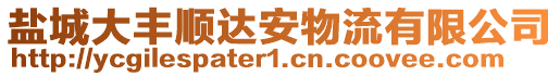 鹽城大豐順達安物流有限公司