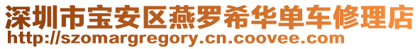 深圳市寶安區(qū)燕羅希華單車修理店