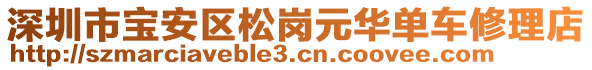 深圳市寶安區(qū)松崗元華單車修理店