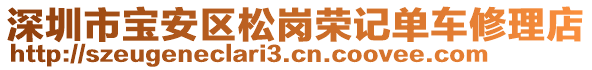 深圳市寶安區(qū)松崗榮記單車修理店