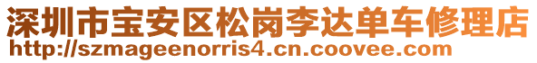 深圳市寶安區(qū)松崗李達(dá)單車修理店