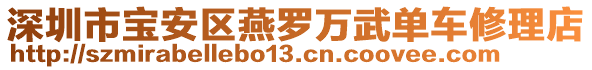 深圳市寶安區(qū)燕羅萬武單車修理店