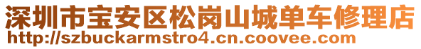 深圳市寶安區(qū)松崗山城單車修理店