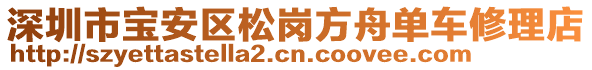 深圳市寶安區(qū)松崗方舟單車(chē)修理店