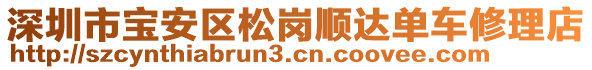 深圳市寶安區(qū)松崗順達單車修理店