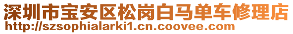 深圳市寶安區(qū)松崗白馬單車修理店