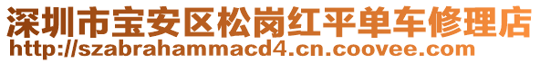 深圳市寶安區(qū)松崗紅平單車修理店