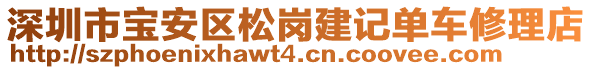 深圳市寶安區(qū)松崗建記單車修理店