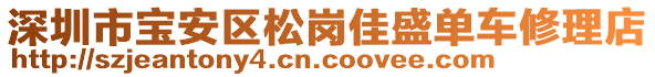 深圳市寶安區(qū)松崗佳盛單車修理店