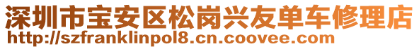 深圳市寶安區(qū)松崗興友單車修理店