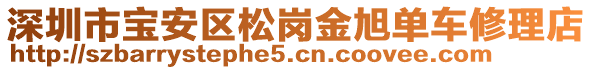 深圳市寶安區(qū)松崗金旭單車修理店