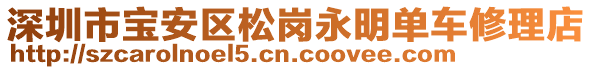 深圳市寶安區(qū)松崗永明單車修理店