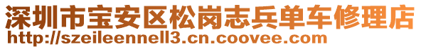 深圳市寶安區(qū)松崗志兵單車修理店