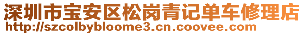 深圳市寶安區(qū)松崗青記單車修理店