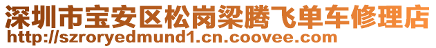 深圳市寶安區(qū)松崗梁騰飛單車修理店