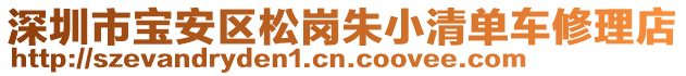 深圳市寶安區(qū)松崗朱小清單車修理店