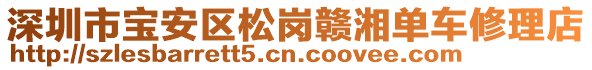 深圳市寶安區(qū)松崗贛湘單車修理店