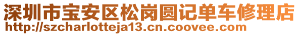 深圳市寶安區(qū)松崗圓記單車修理店