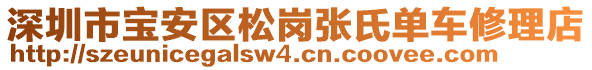 深圳市寶安區(qū)松崗張氏單車修理店