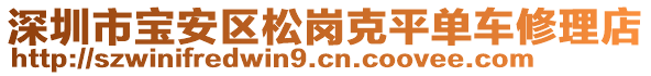 深圳市寶安區松崗克平單車修理店