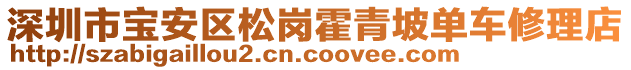 深圳市寶安區(qū)松崗霍青坡單車修理店