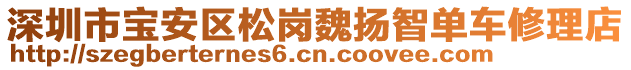 深圳市寶安區(qū)松崗魏揚智單車修理店