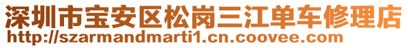 深圳市寶安區(qū)松崗三江單車修理店