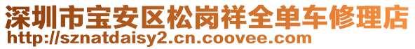 深圳市寶安區(qū)松崗祥全單車修理店
