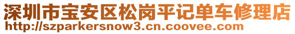 深圳市寶安區(qū)松崗平記單車修理店