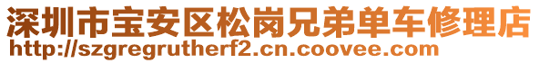 深圳市寶安區(qū)松崗兄弟單車修理店